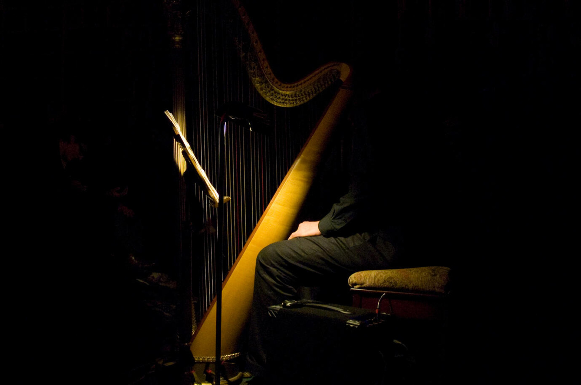 Thumbnail for Sounds of Now (in collaboration with Music in the Round) - Performance Venues